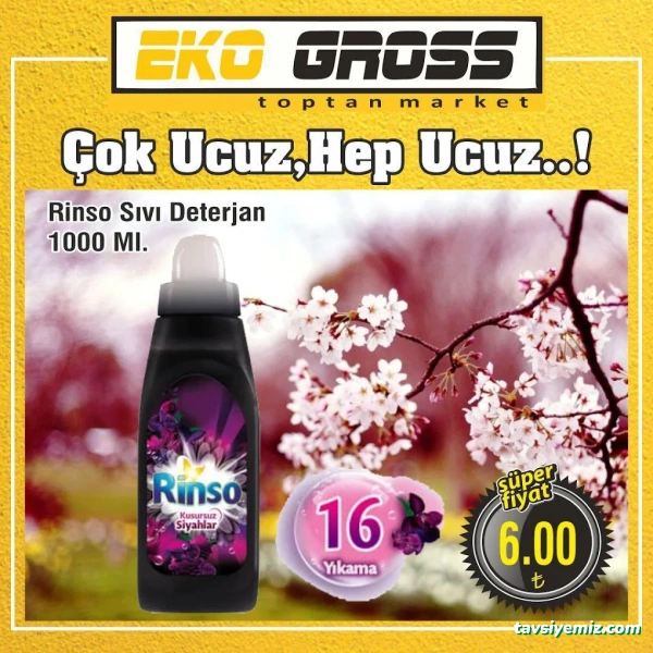 Eko Gross Eko Gross