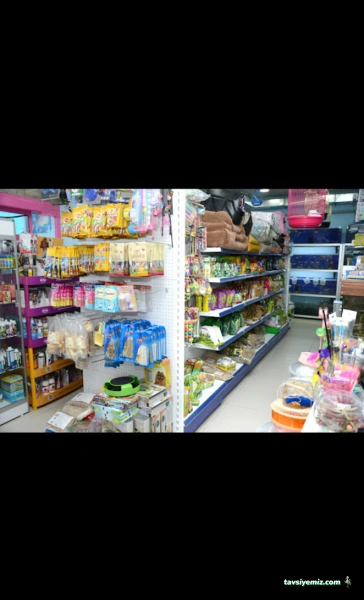 Elif Akvaryum Pet Shop Elif Akvaryum Pet Shop