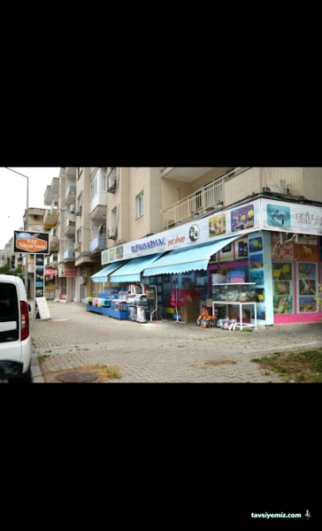 Elif Akvaryum Pet Shop Elif Akvaryum Pet Shop