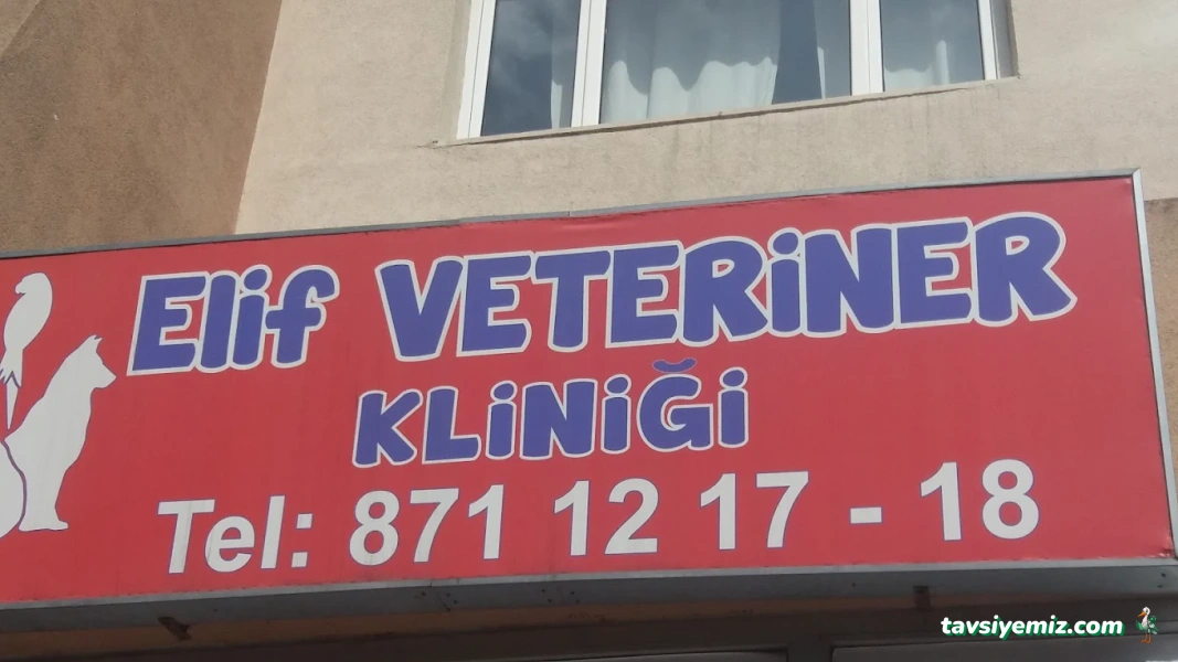 Elif Veteriner Kliniği Elif Veteriner Kliniği
