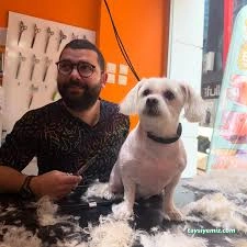 Emre Pet Shop & Pet Kuaför Emre Pet Shop & Pet Kuaför