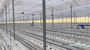 Ercansa - Agora Erzincan Sera Ercansa - Agora Erzincan Sera