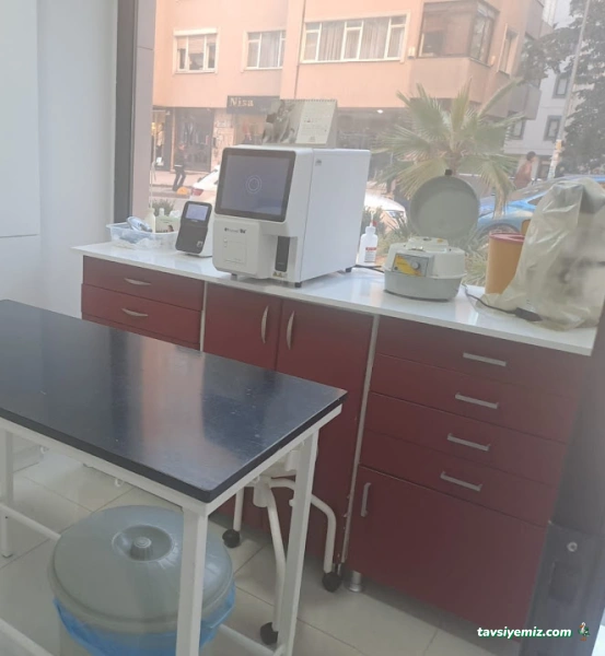 Erenköy Veteriner Kliniği Erenköy Veteriner Kliniği