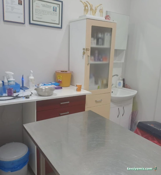 Erenköy Veteriner Kliniği Erenköy Veteriner Kliniği