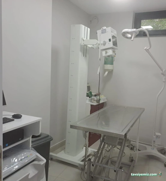 Erenköy Veteriner Kliniği Erenköy Veteriner Kliniği