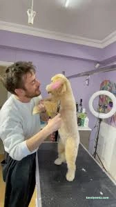 Er'ez Petshop& Kuaför Er'ez Petshop& Kuaför