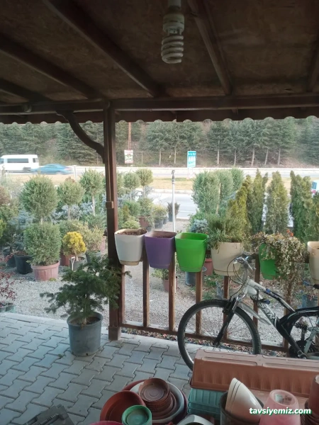 Erkam Peyzaj & Süs Bitkileri Erkam Peyzaj & Süs Bitkileri