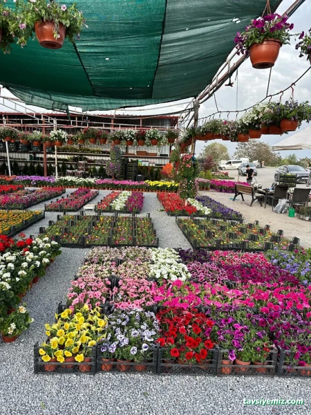 Erzincan Peyzaj Fidancılık Erzincan Peyzaj Fidancılık