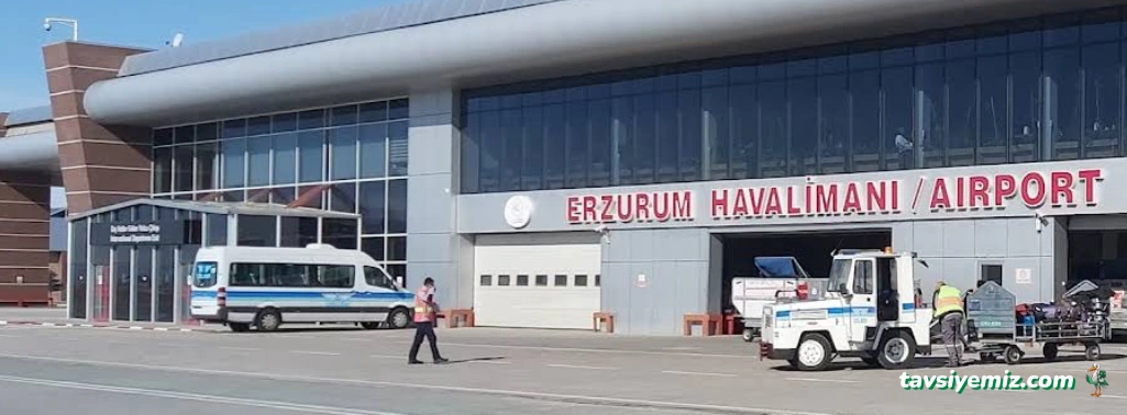 Erzurum Havalimanı