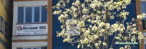 Erzurum Psikolog Beyzanur Adil