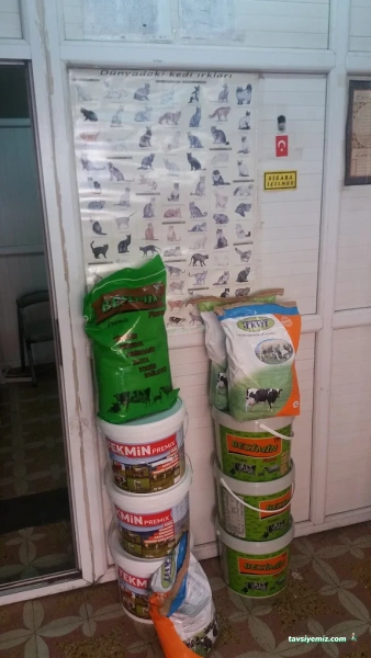 Eski Vilayet Veteriner Kliniği Eski Vilayet Veteriner Kliniği