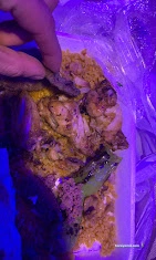 Esnaf Sofrası Esnaf Sofrası