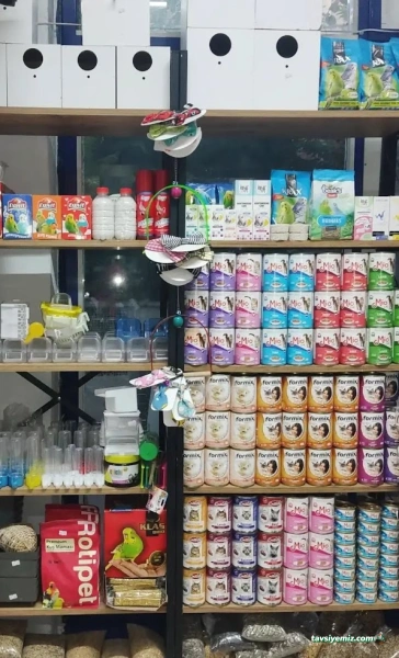 Essen Petshop Essen Petshop