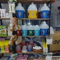 Essen Petshop Essen Petshop