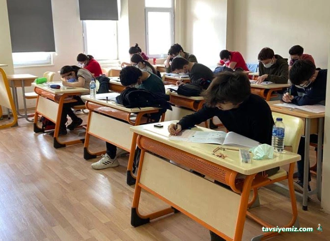 Fitayf Eğitim Ve Danışmanlık Hizmetleri