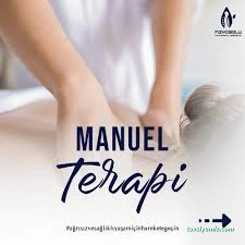 Fizyobolu Fizyoterapi, Manuel Terapi Danışmanlık