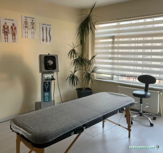 Fizyoığdır Gtos Ağrısız Yaşam Ve Fizyoterapi