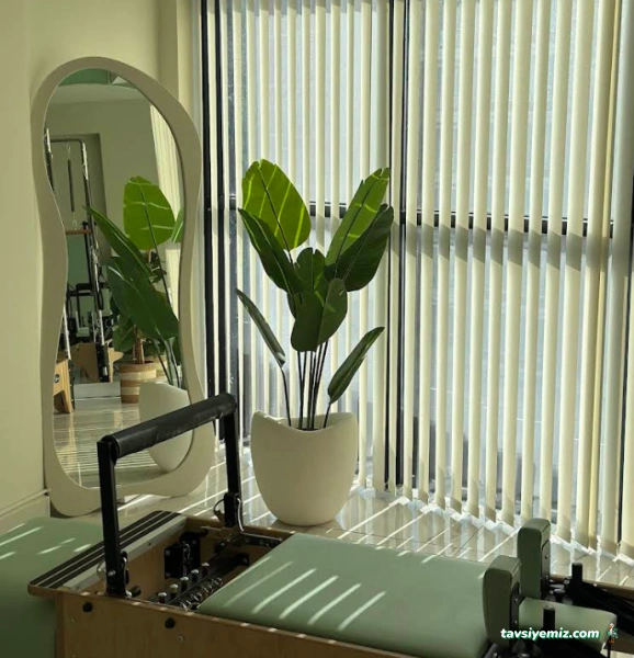 Fizyomel Fizyoterapi Merkezi