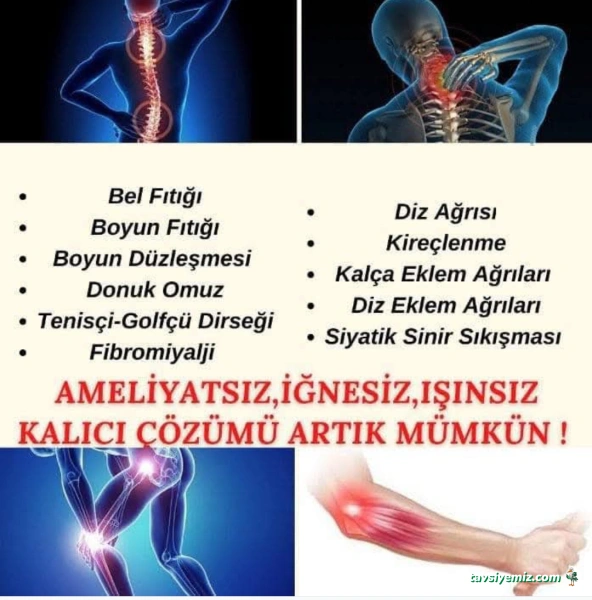 Fizyoterapi Ve Alternatif Tıp Merkezi Fizyoterapi Ve Alternatif Tıp Merkezi