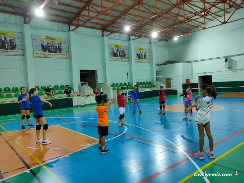 Flash Voleybol Spor Kulübü Flash Voleybol Spor Kulübü