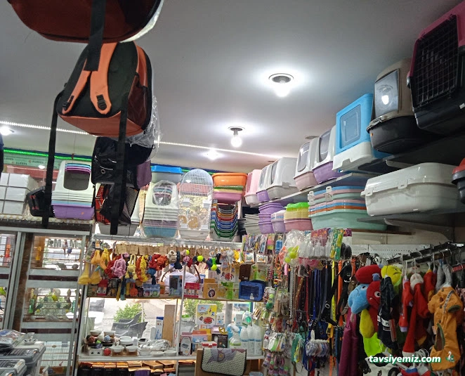 Flipper Pet Shop