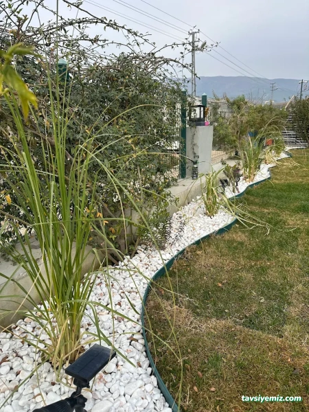 Floria Garden Peyzaj Ve Çiçekçilik Floria Garden Peyzaj Ve Çiçekçilik