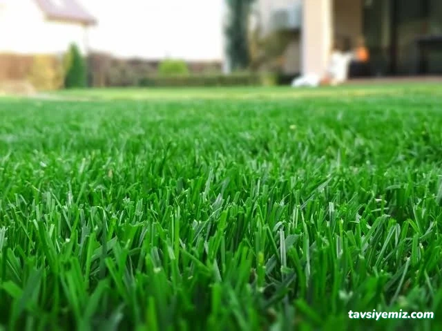 Floria Garden Peyzaj Ve Çiçekçilik Floria Garden Peyzaj Ve Çiçekçilik