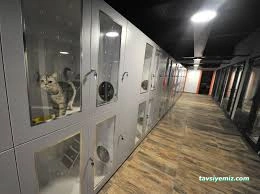 Gap-Vet Kedi Köpek Otel Gap-Vet Kedi Köpek Otel
