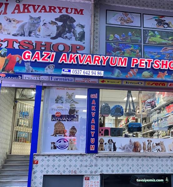 Gazi Akvaryum Pet Shop Gazi Akvaryum Pet Shop