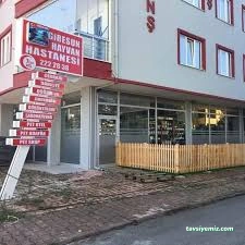 Giresun Hayvan Hastanesi Giresun Hayvan Hastanesi