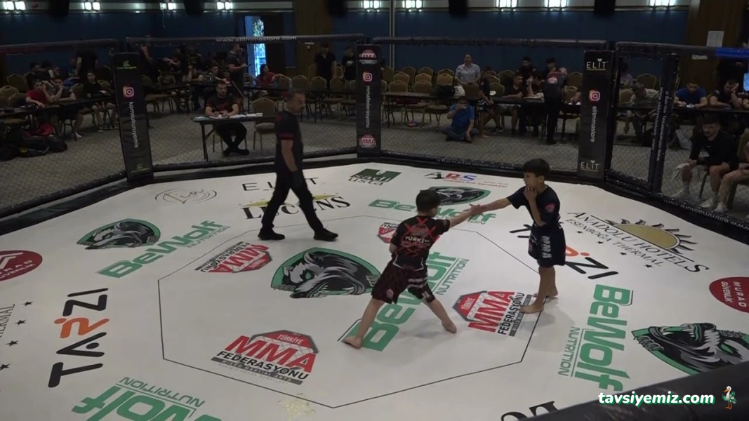 Glourıous Mma Çanakkale Glourıous Mma Çanakkale