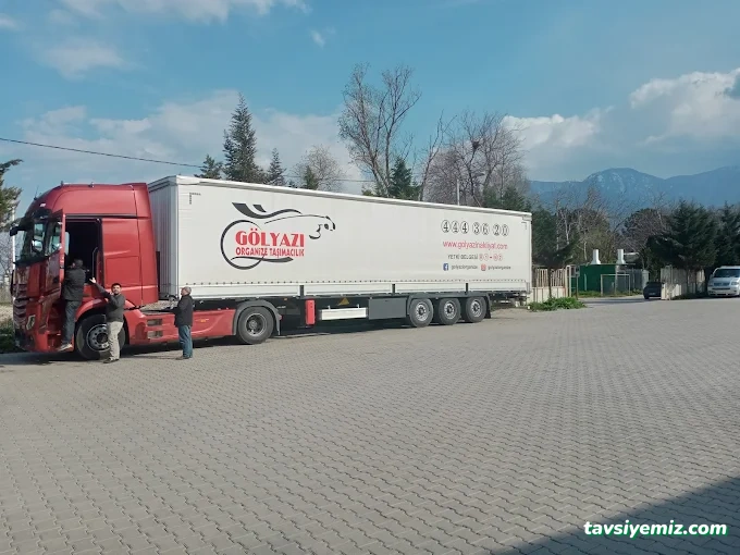 Gölyazı Organize Taşımacılık Mardin Gölyazı Organize Taşımacılık Mardin