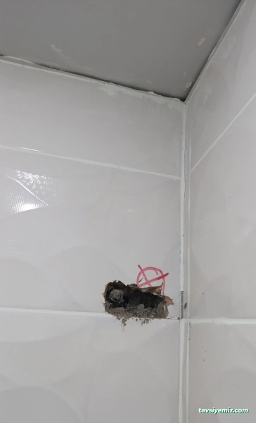 Görüntülü Sucu Kameralı Su Kaçak Arıza Tespiti Cihaz Anlı Tesisatçı Tıkanık Mutfak Lavabo Tuvalet Banyo Gideri Su Sızıntısı Görüntülü Sucu Kameralı Su Kaçak Arıza Tespiti Cihaz Anlı Tesisatçı Tıkanık Mutfak Lavabo Tuvalet Banyo Gideri Su Sızıntısı