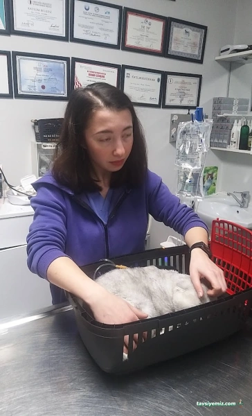 Göztepe Veteriner Kliniği Göztepe Veteriner Kliniği