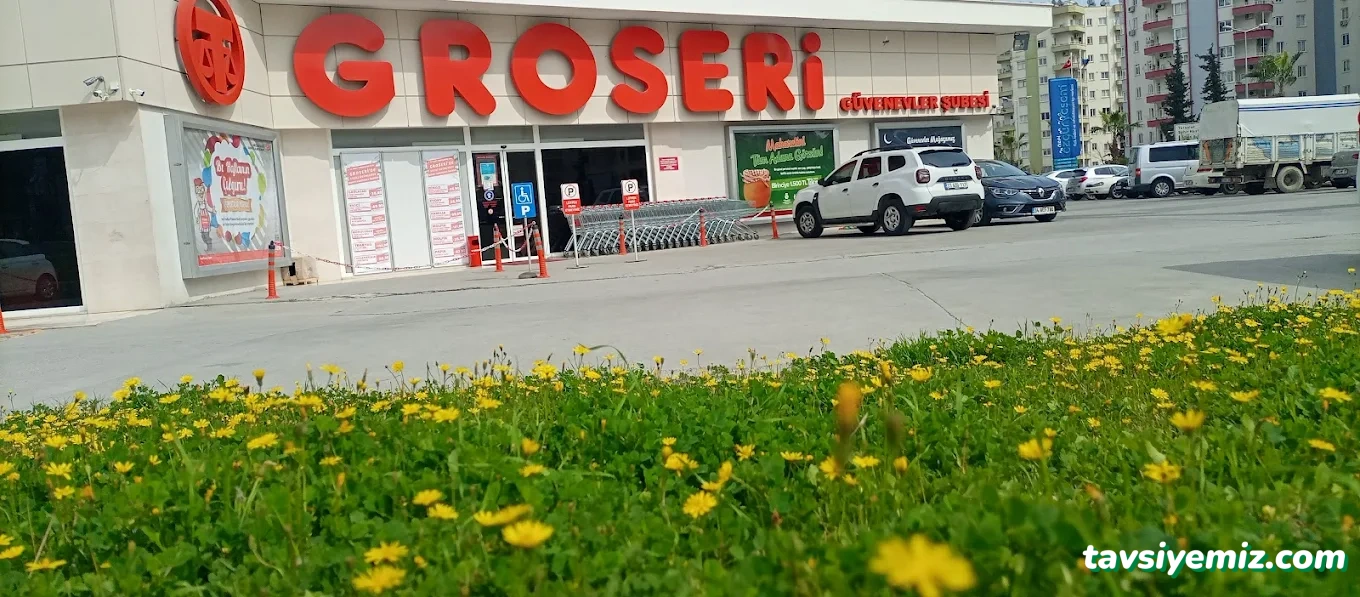 Groseri Groseri