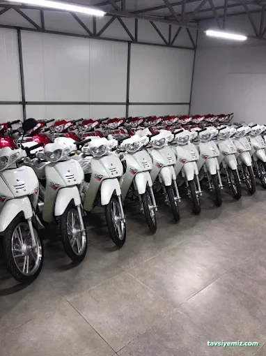 Gülay Motor Gülay Motor