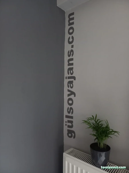 Gülsoy Ajans Gülsoy Ajans
