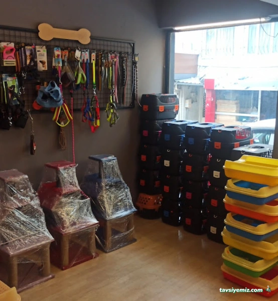 Gumball Petshop Gumball Petshop