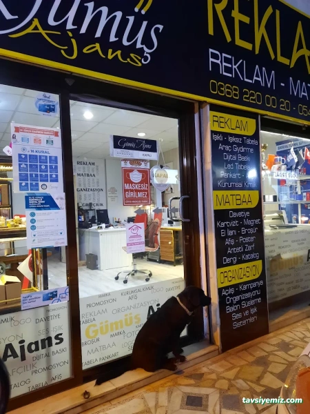 Gümüş Ajans