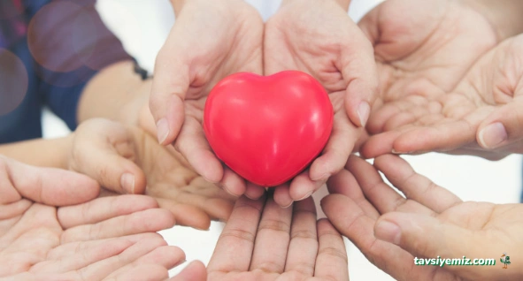 Gümüşhane Ili Sosyal Yardımlaşma Ve Dayanışma