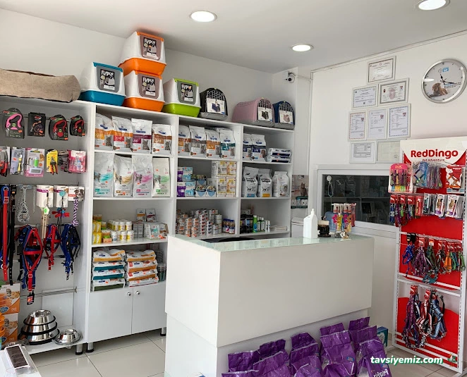 Güneşli Veteriner Kliniği Güneşli Veteriner Kliniği