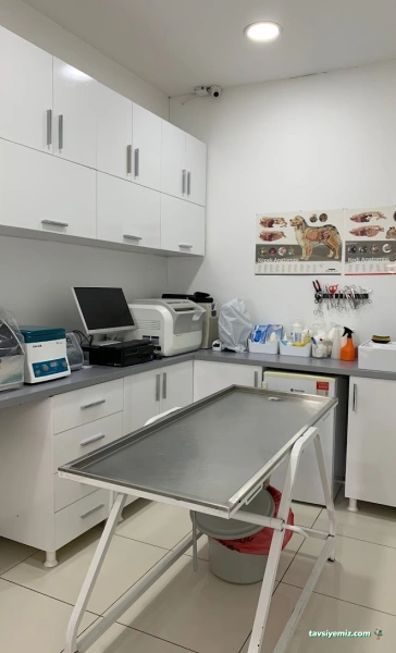 Güneşli Veteriner Kliniği Güneşli Veteriner Kliniği