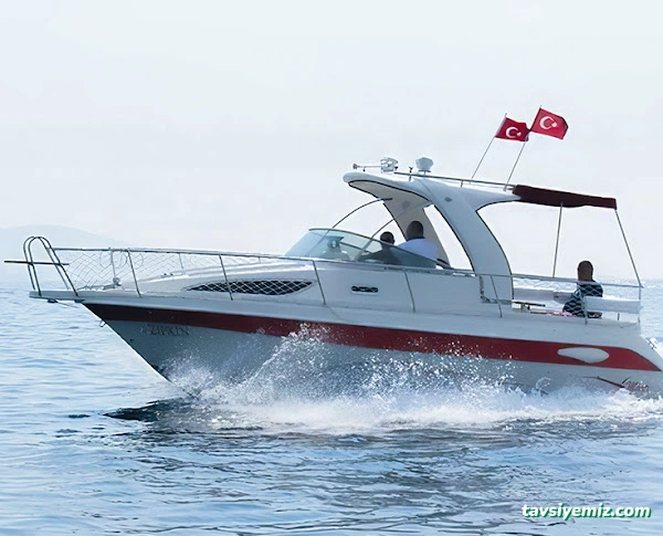 Güney Marin Ordu | Safter & İsatek Tekne, Gözde Marin, Us Boat, Tohatsu,Mercury,Suzuki,Honda Bayi & Servis Güney Marin Ordu | Safter & İsatek Tekne, Gözde Marin, Us Boat, Tohatsu,Mercury,Suzuki,Honda Bayi & Servis