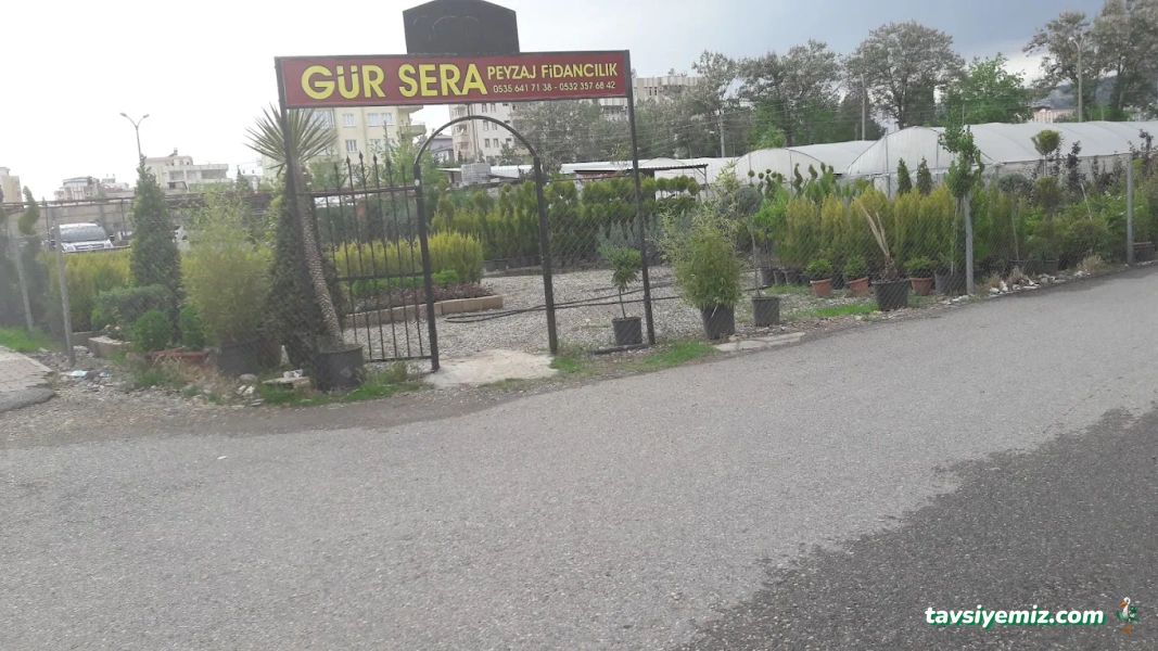 Gür Sera Peyzaj Fidanlık Gür Sera Peyzaj Fidanlık