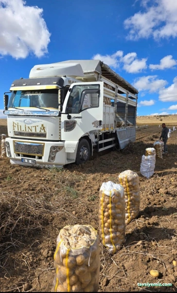 Hacıbaba Lojistik Toptan Sebze & Meyve Gıda Ltd.şti Hacıbaba Lojistik Toptan Sebze & Meyve Gıda Ltd.şti