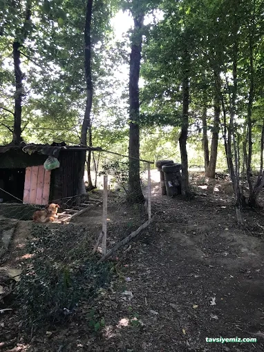 Havaalanı Paintball Havaalanı Paintball