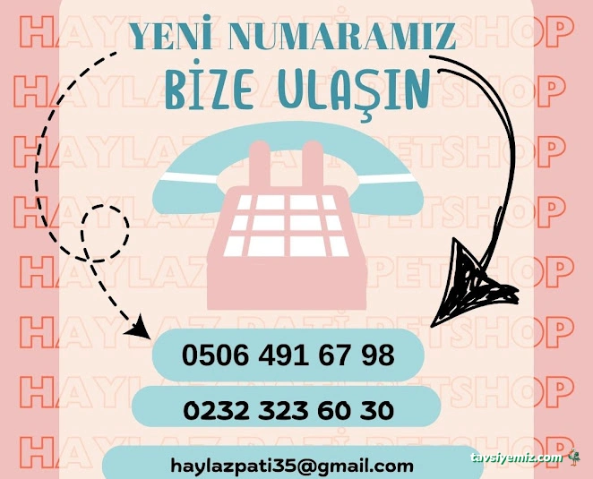 Haylaz Pati Pet Shop