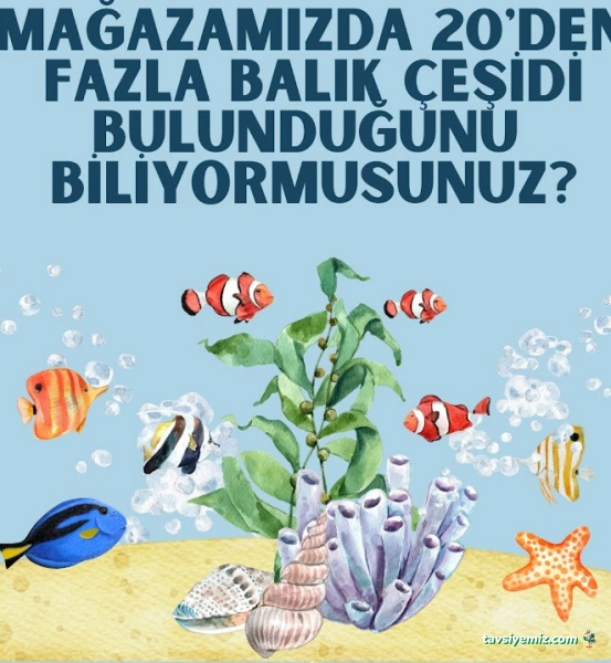 Haylaz Pati Pet Shop Haylaz Pati Pet Shop