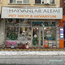Hayvanlar Alemi Petshop Hayvanlar Alemi Petshop