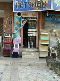 Hayvanlar Alemi Petshop Hayvanlar Alemi Petshop